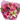 Flores Porque Sí - Sorpresas Espontáneas Miami