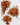 Autumn & Warm Tones Collection