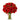 Red Roses Miami | Flower Delivery & Rose Bouquets