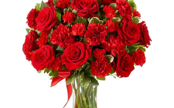 Red Roses Miami | Flower Delivery & Rose Bouquets
