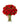Red Roses Miami | Flower Delivery & Rose Bouquets