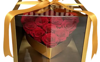 Gifts Miami - Peluches Regalos Bebé Enamorados Sonajeros Musicales | Entrega Hoy Doral