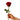 Regalar Flores porque Si