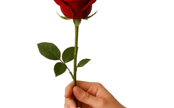 Regalar Flores porque Si