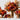Autumn & Warm Tones Collection