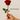 Regalar Flores porque Si