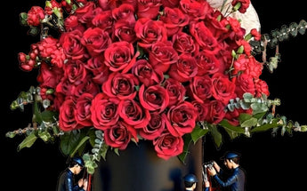 Aniversarios - Love & Romance