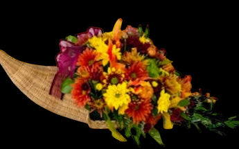 Thanksgiving flowers. Celebrate the season with our stunning Thanksgiving flowers! Home delivery flowers and gifts in Miami, Doral Roses