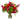 Brillante / Flores