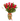18 Rosas Rojas