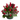 Generosa - Rosas Rojas Clásico Redondo