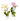 Mini orquídeas