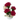 Carismatica - Agrupaciones Rosas Rojas y Orquídeas