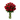 Actual / Flores