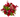 Brillante / Flores