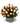 Ingenioso / Flores