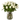 Validador / Flores