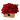 Regala 100 Rosas Rojas