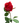 Solitario Rosa Roja