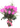 Rosas mixtas