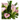 Lirio Elegante