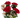 Rosas & Orquídea Luxury