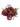 Fantasía