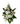 Affection / Flowers