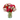 Proactivo / Flores