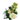 La Orquídea