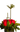 Creativa - Arreglo Floral Rosas
