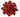 Valorado / Flores