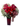 Versátil / Flores