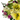 Creative / flowers