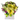 Creative / flowers