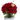 Rosas honestas 🌹