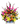 Arreglo Tropical Exótico