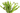 Tulipanes