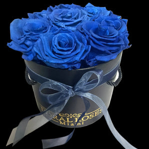 Rosas azules preservadas en caja de lujo de Doral Roses Miami, en elegante caja para regalo.