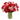 Radiante / Flores