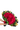Romance - Buchón 250 Rosas