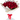 Rosas rojas frescas de 12 a 200 unidades en Miami. Bouquets atados a mano con empaque hermoso. Entrega el mismo día en Doral roses miami 