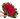 Buchón Romance Luxury de 250 rosas en Miami. Máxima expresión de amor para propuestas épicas. Entrega VIP especializada en Doral roses miami.