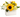Dulces Girasoles Florería en Doral - Rosas Rojas Doral Florida Entrega de Flores Hoy Miami