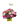 Iluminado / flores