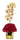 Orquídeas / Preciosas