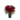 Visible / Flores