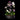 Jardín Grand Élégance de orquídeas naturales blancas, rosadas, magenta y moteadas en recipiente decorativo negro
