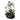 Orquídea phalaenopsis blanca moteada en maceta cúbica efecto mármol blanco con lazo blanco