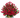 Rosas rojas Delivery Doral Fl Miami